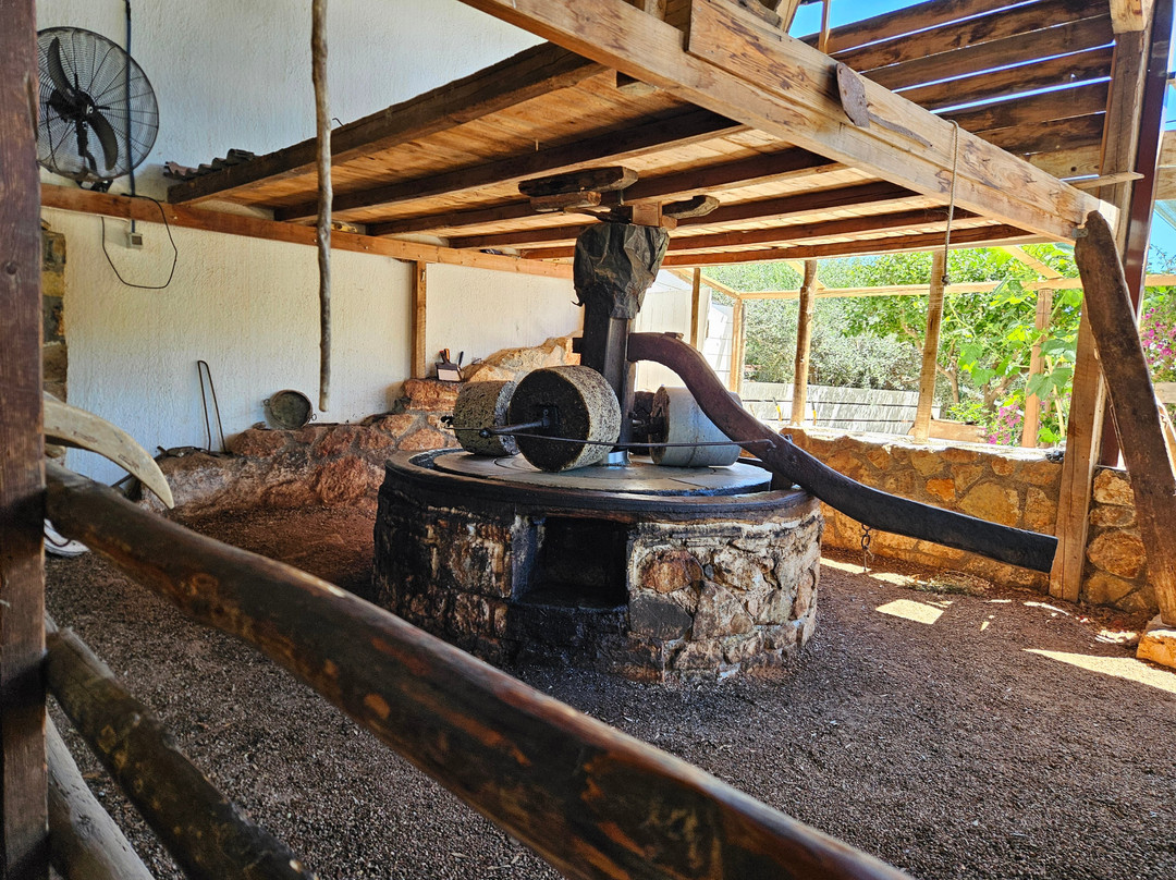 Spiridi Olive Oil Farm-Agios Nikolaos必去景点