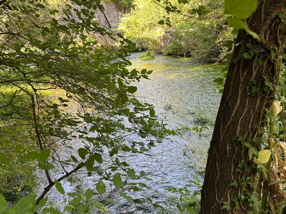 Riserva Naturale Gole del Sagittario-Anversa degli Abruzzi必去景点