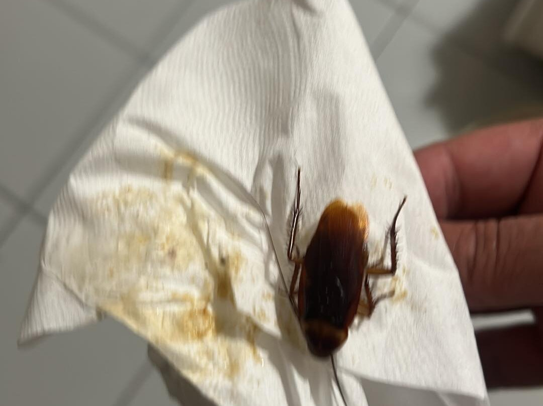 卡茨萨拉斯湾畔酒店主图
