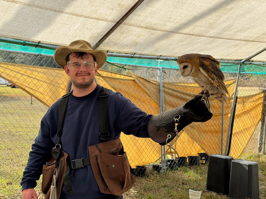 International Falconry Academy-Live Oak必去景点