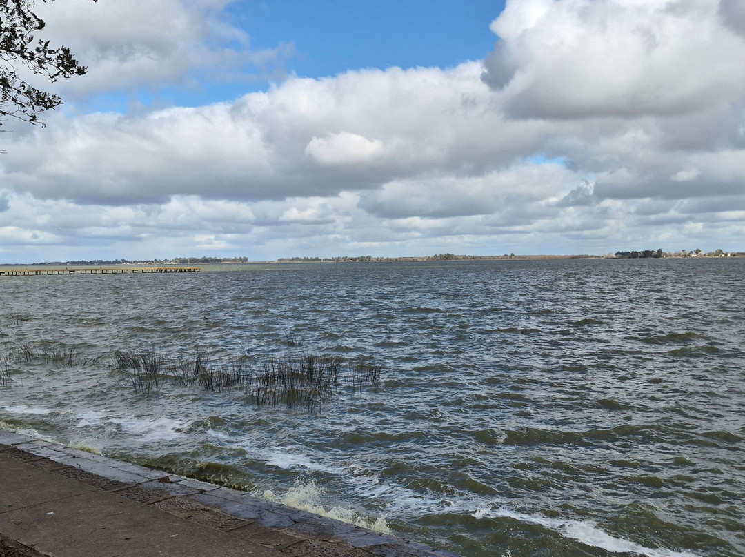 Laguna de Chascomus-查斯科木斯必去景点
