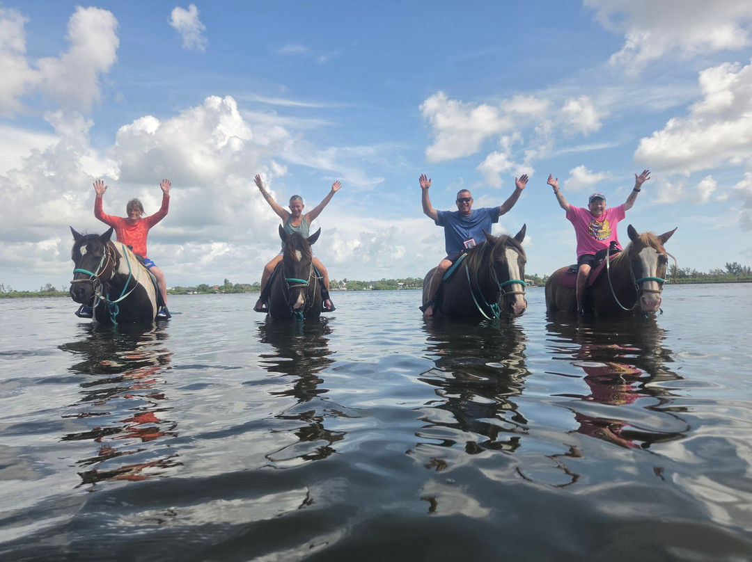 Florida Beach Horses-布雷登顿必去景点