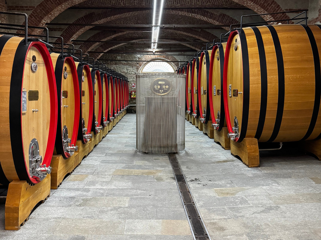 Antiche Cantine Marchesi Di Barolo-巴罗洛必去景点