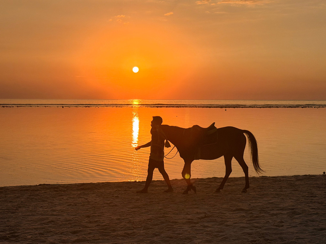 My Day Gili-克隆孔必去景点