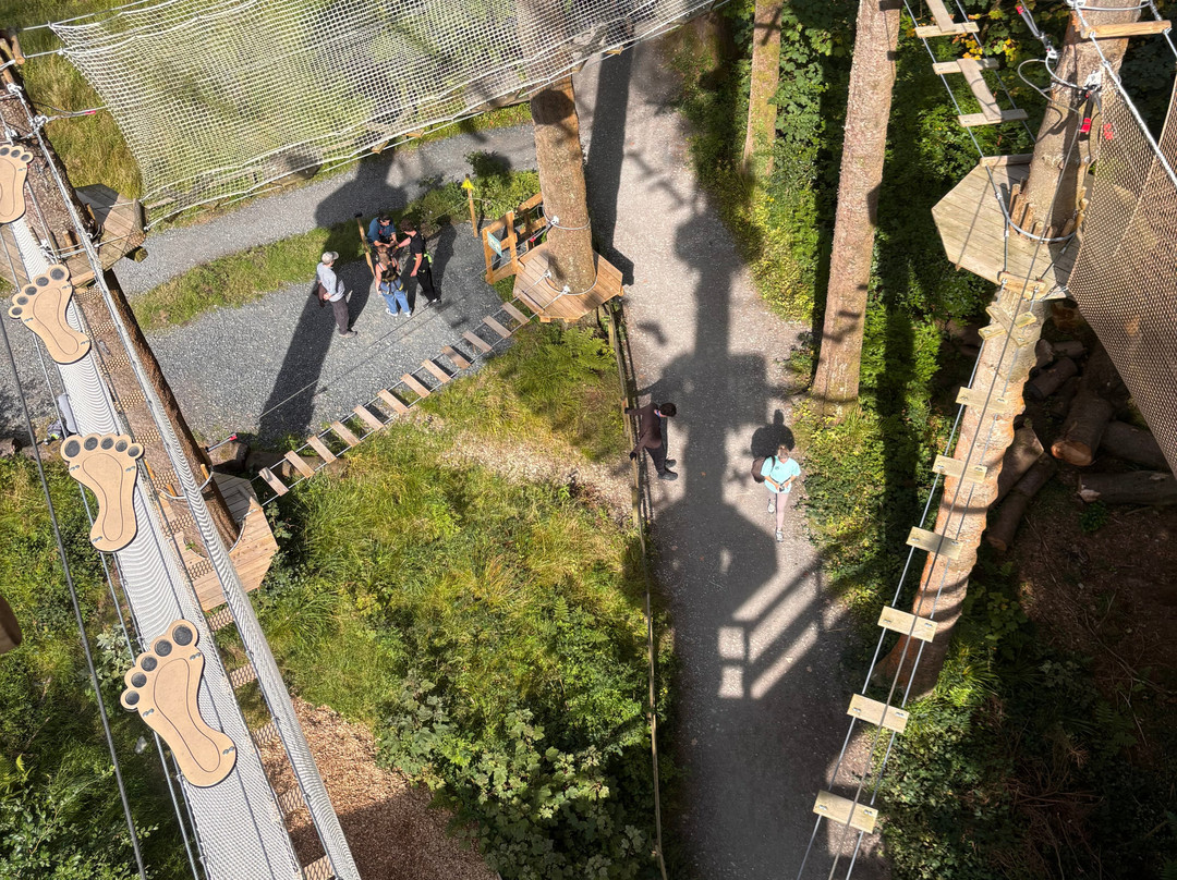 Go Ape Grizedale-Hawkshead必去景点