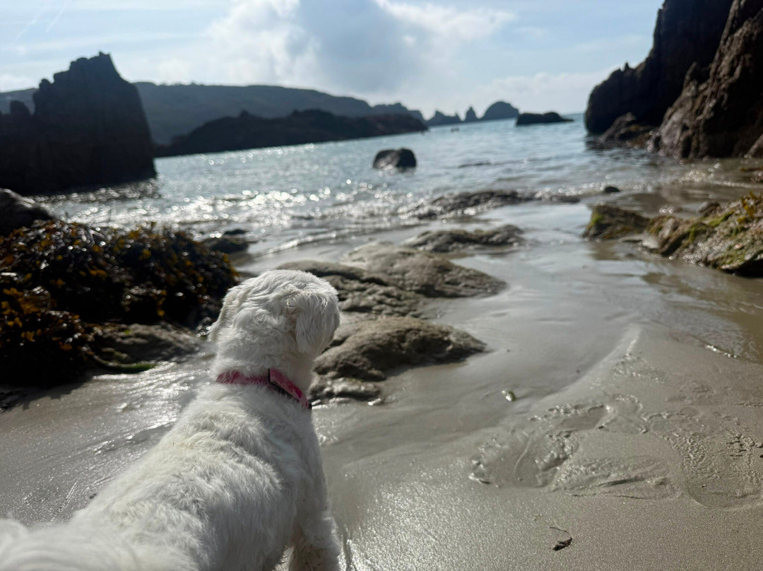 Moulin Huet Bay-St Martin必去景点