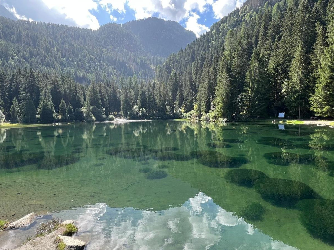 Lago dei Caprioli-Pellizzano必去景点