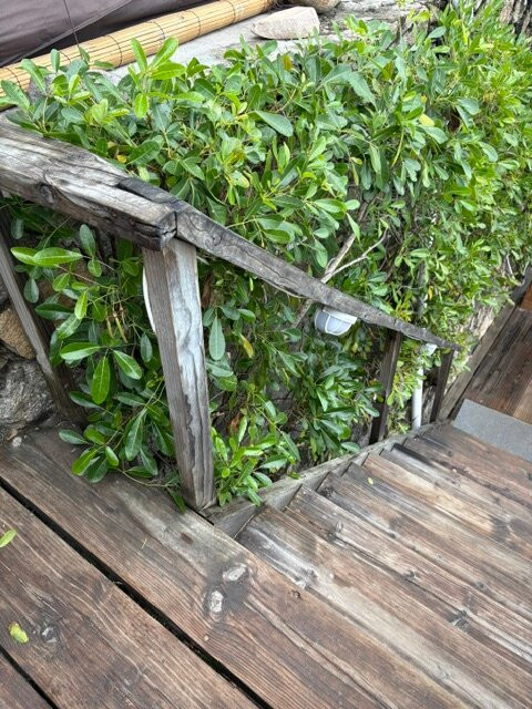 塞舌尔布里斯精品酒店主图