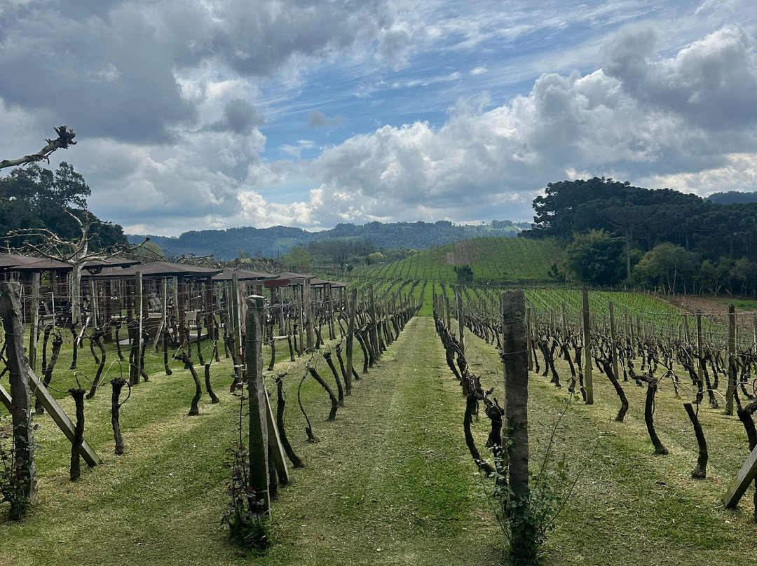 Vinhos Larentis-本图贡萨尔维斯必去景点