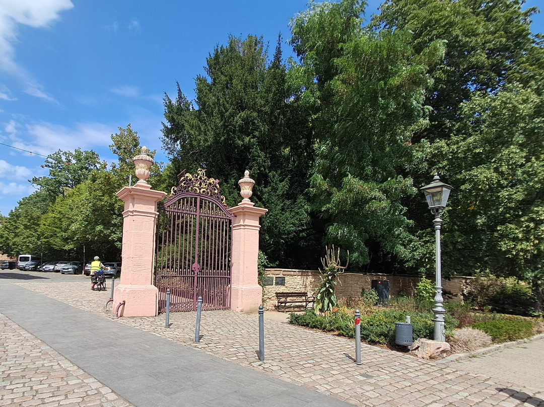 Schlossgarten Kirchheimbolanden-Kirchheimbolanden必去景点