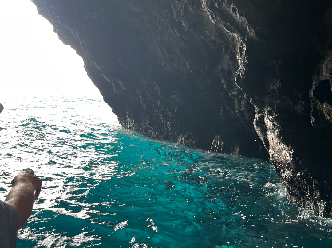 Kauai Sea Tours-埃里埃利必去景点