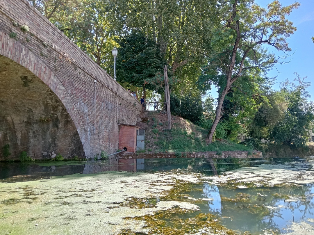 Il ponte dell'Accolta-Limigiano必去景点