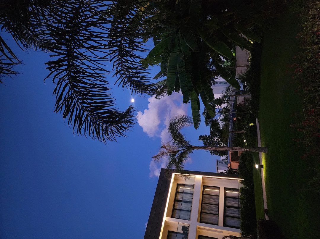 Palmera Resort