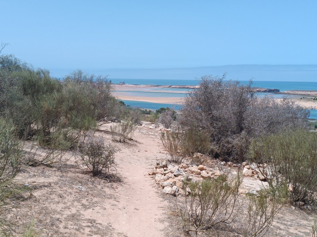 Lagoon of Oualidia-沃利迪耶必去景点