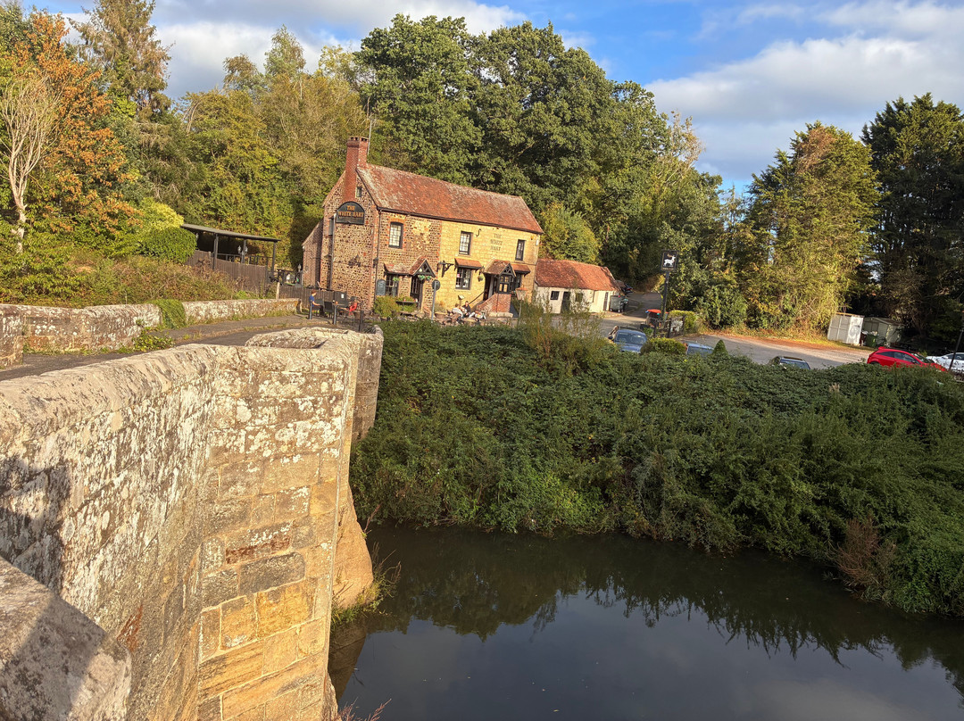 The White Hart-Pulborough必去景点