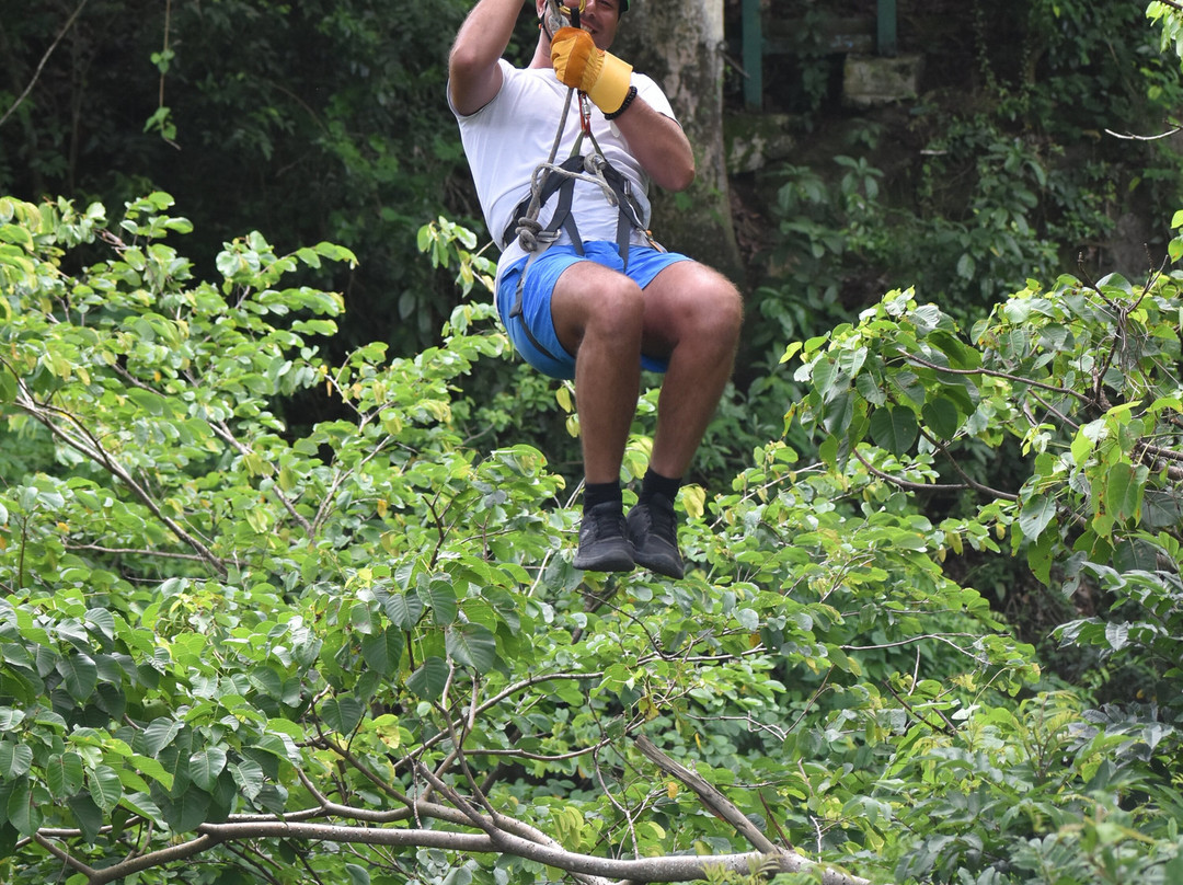 Antigua Rainforest Canopy Tour-安提瓜必去景点