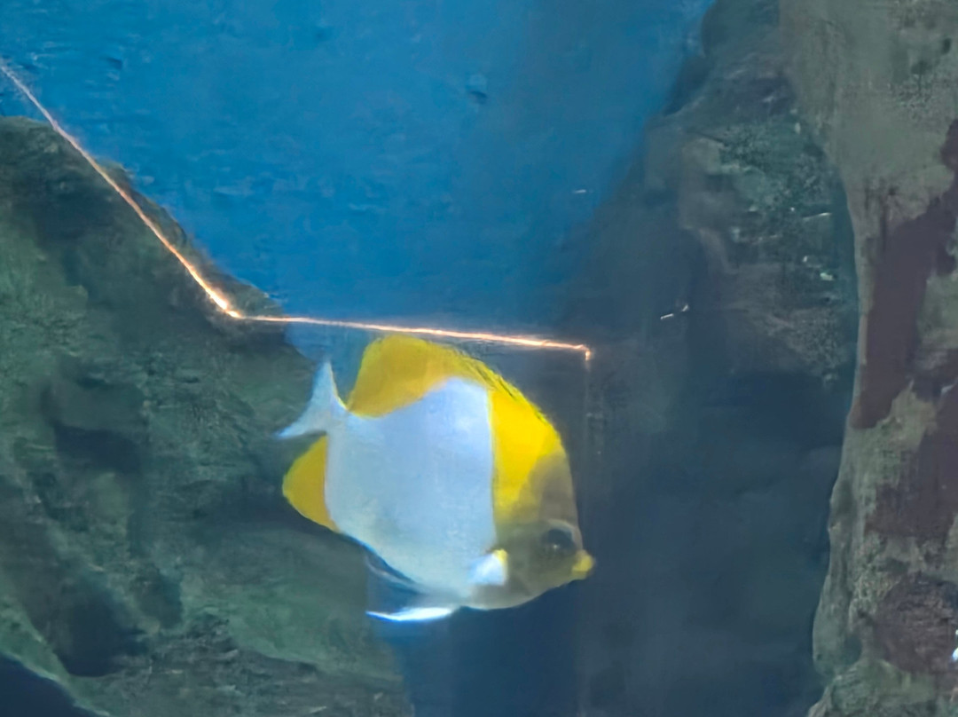 Riverbanks Zoo and Garden-哥伦比亚必去景点