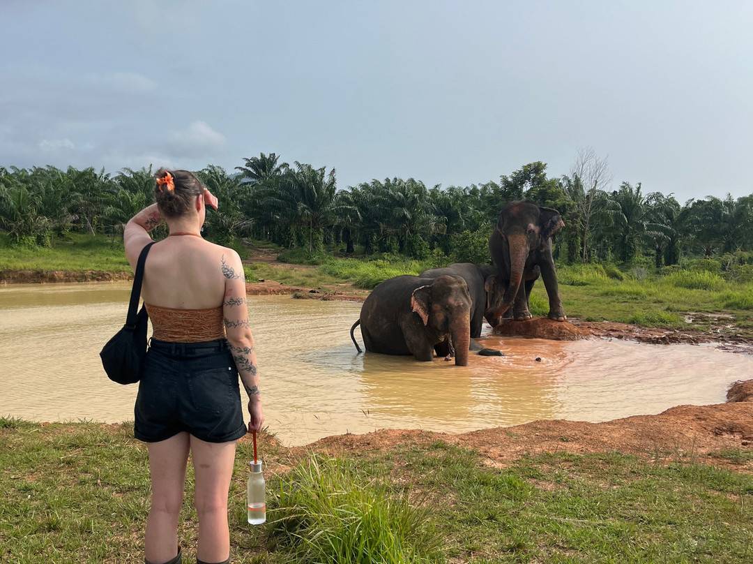 Following Giants - Krabi-Khlong Hin必去景点