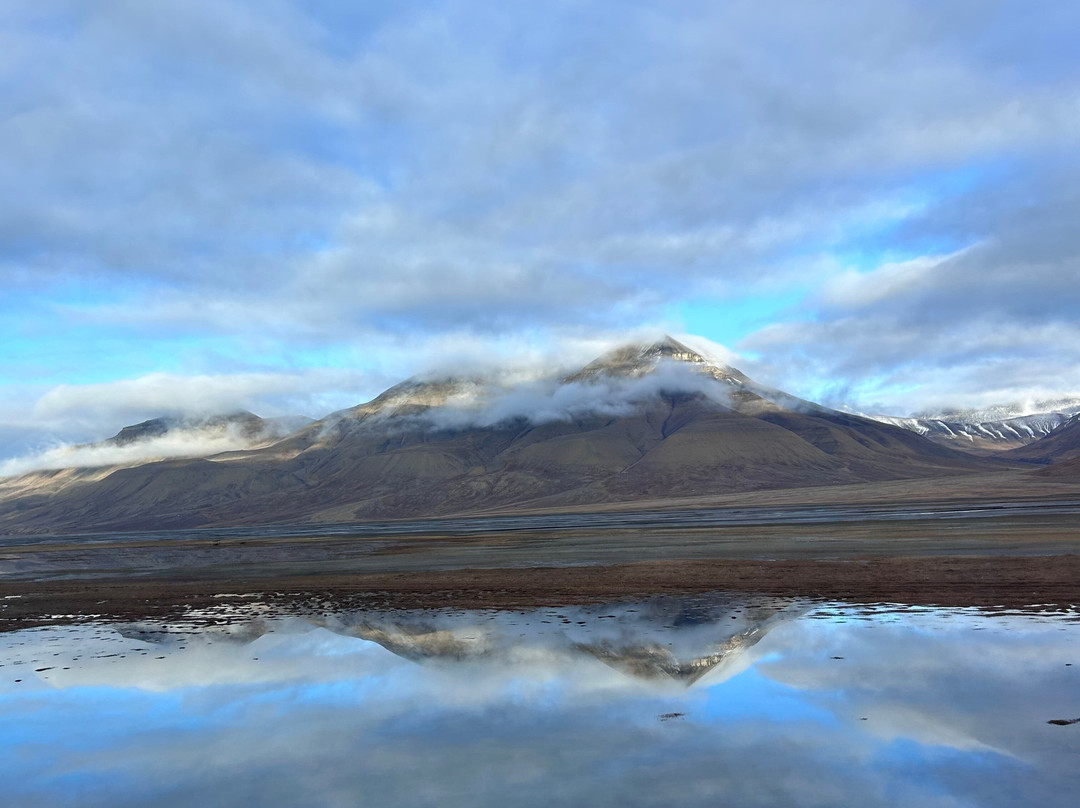 Green Dog Svalbard-朗伊尔城必去景点