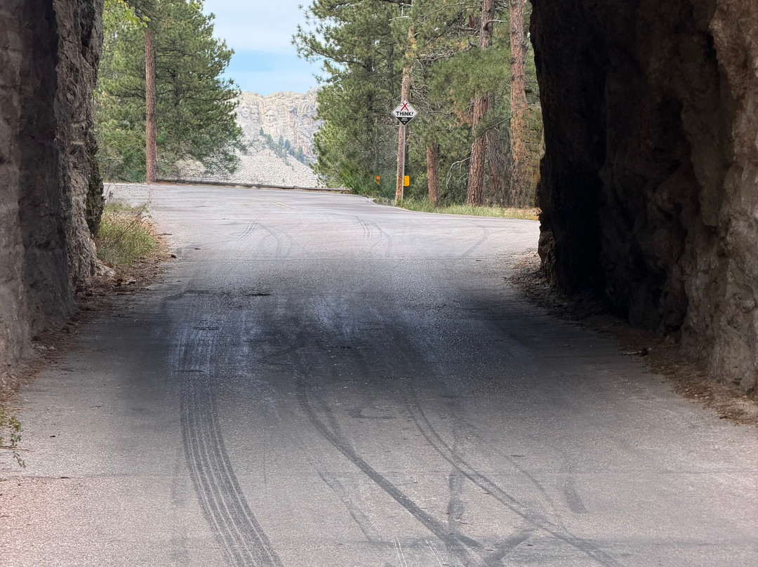 Needles Highway-卡斯特必去景点