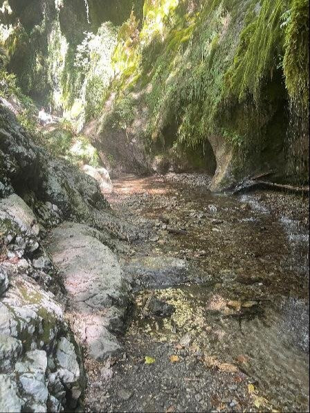 Valle delle Ferriere-阿马尔菲必去景点