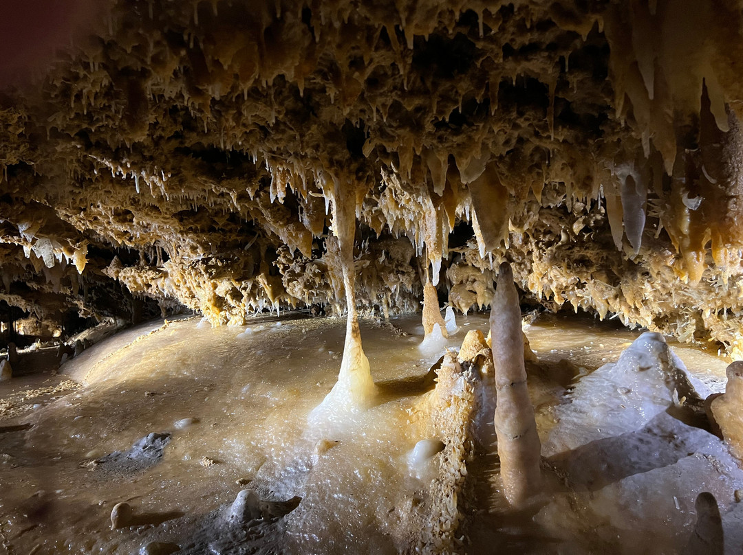 Grotte du Grand Roc-Les Eyzies-de-Tayac-Sireuil必去景点