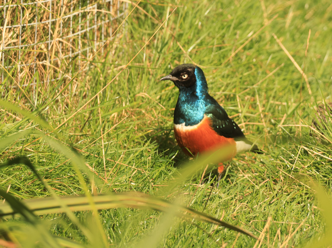 Lakeland Wildlife Oasis-Milnthorpe必去景点