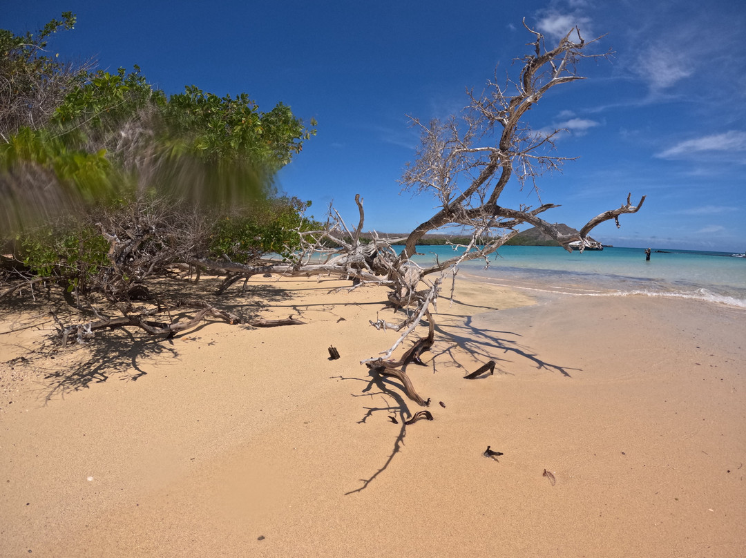Go Galápagos Tours-Baltra必去景点