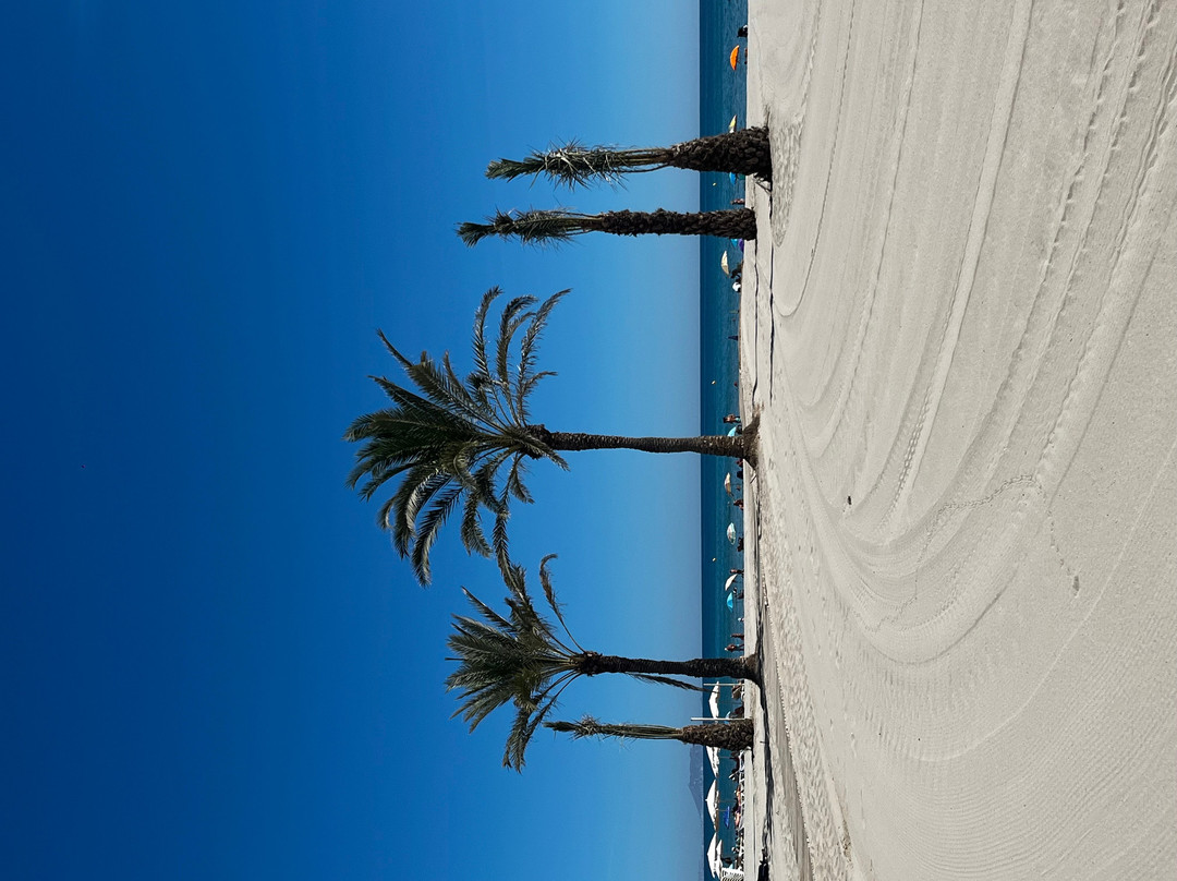 Playa de San Juan-阿利坎特省必去景点