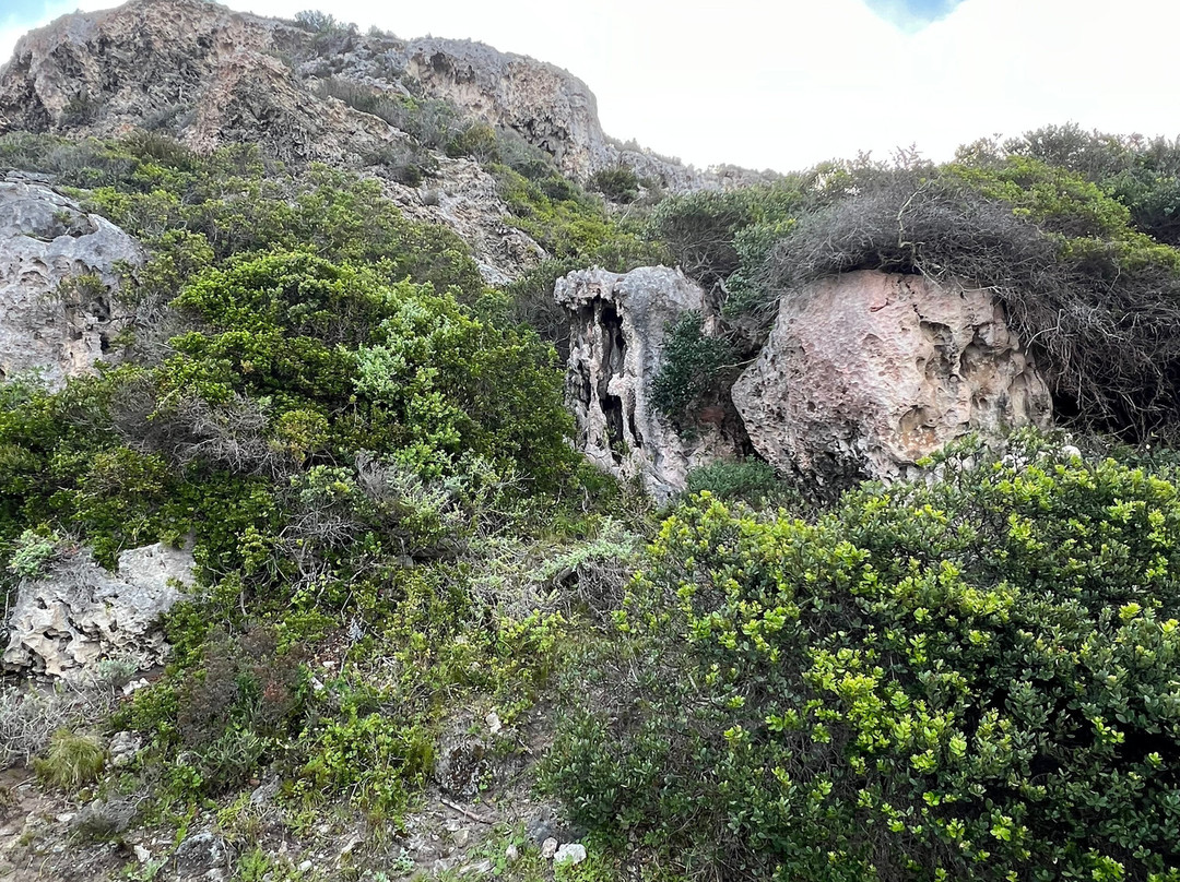Table Mountain National Park-Cape Point必去景点