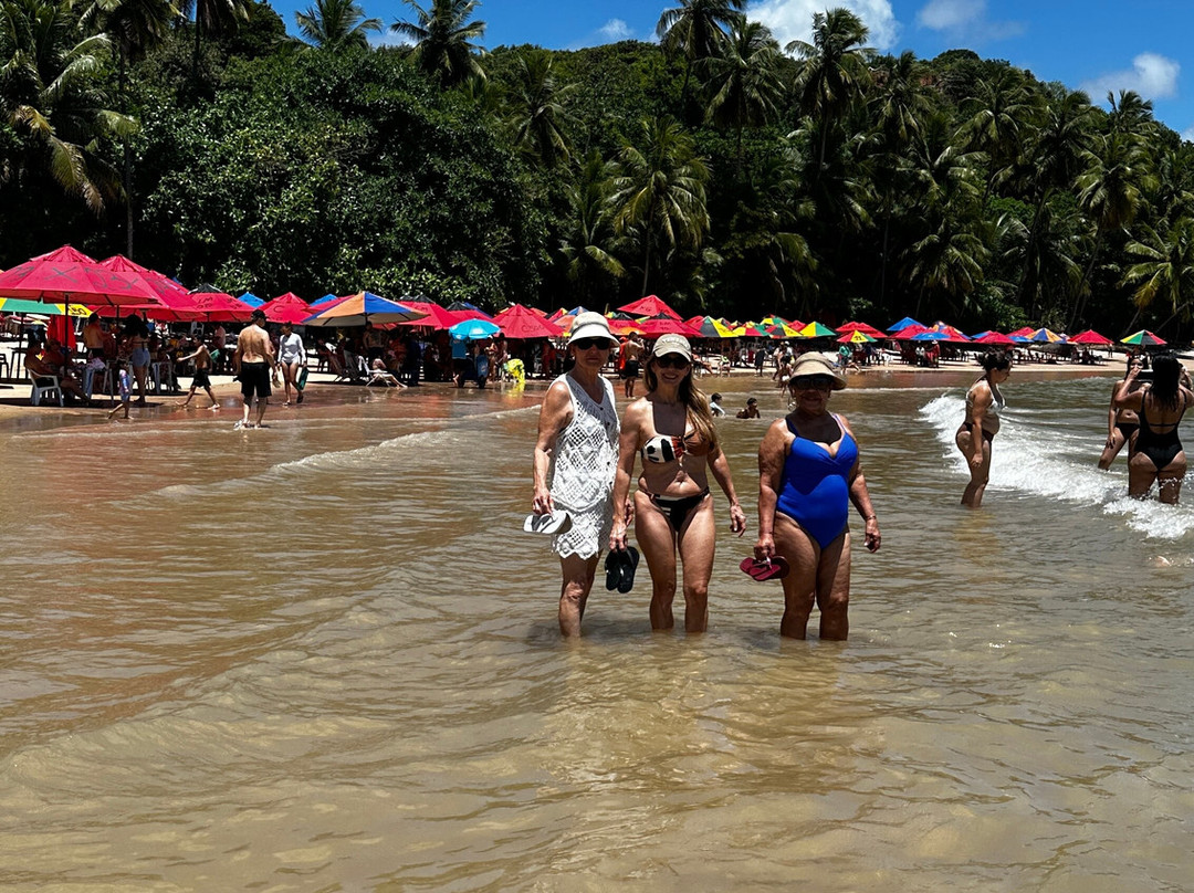 Praia do Coqueirinho-Conde必去景点