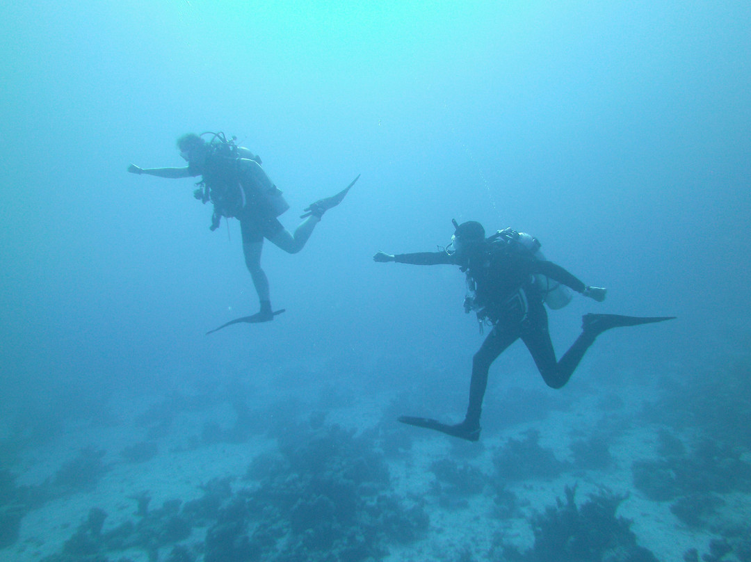 Black Rock Dive Centre-达哈卜必去景点