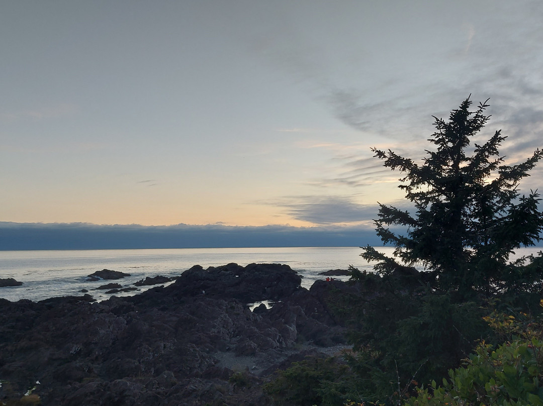 Wild Pacific Trail-尤克卢利特必去景点