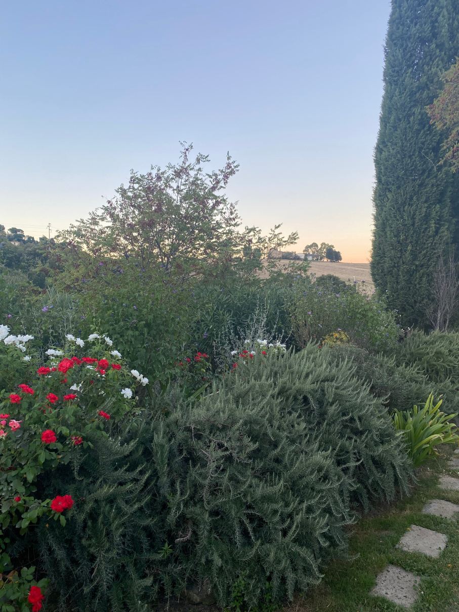 Agriturismo Podere Il Fornacino-旅行者