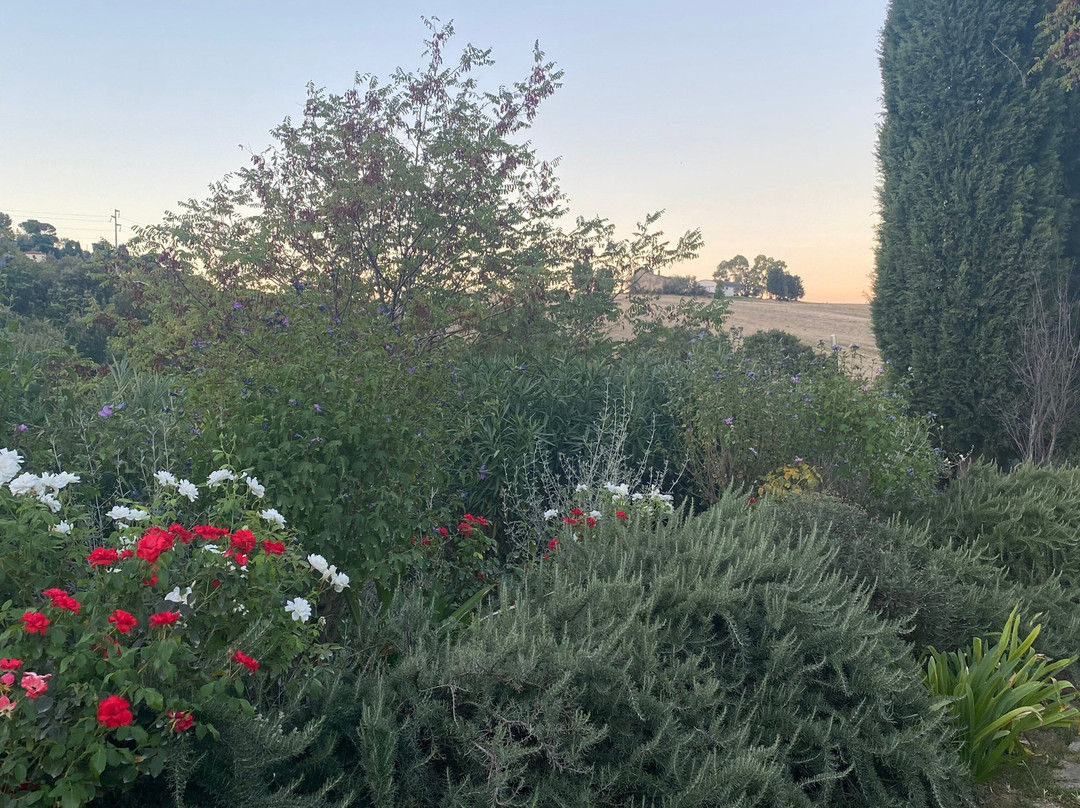 Agriturismo Podere Il Fornacino主图