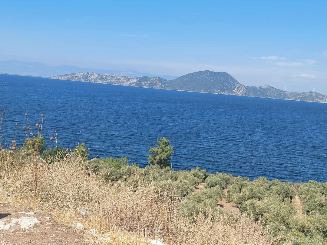 Lake Bafa Nature Park-Milas必去景点
