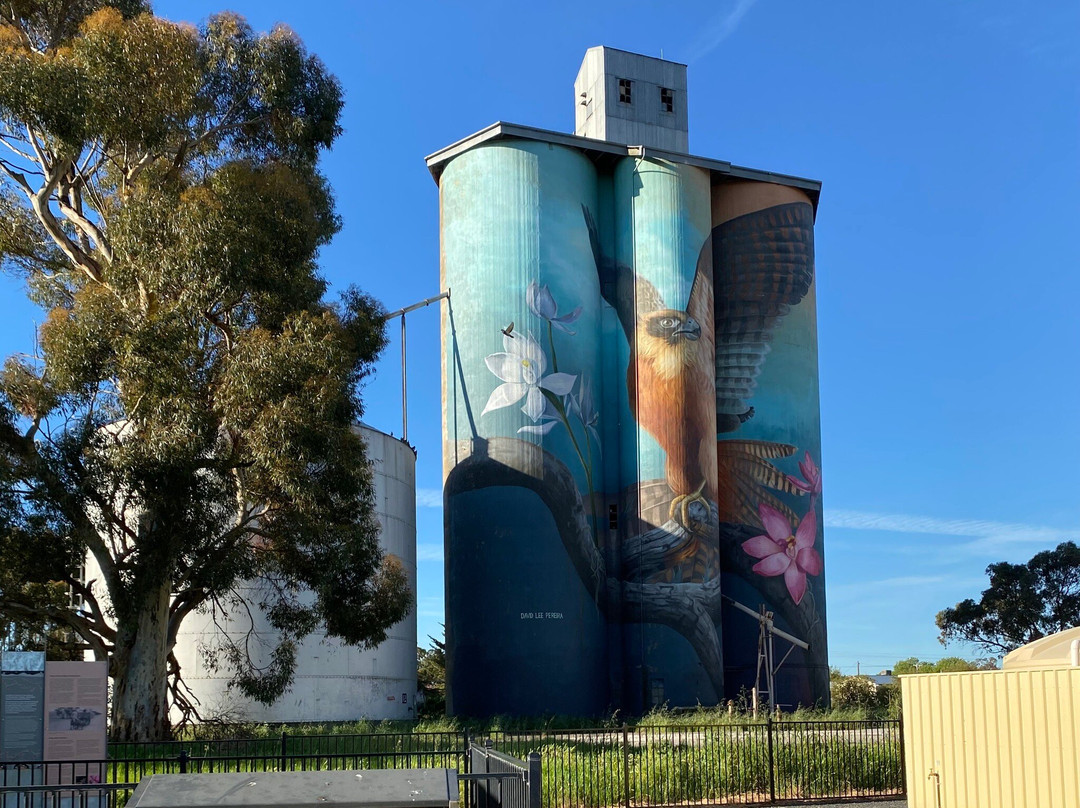 Kaniva Silo Art