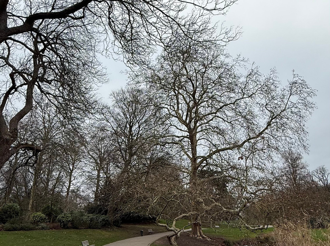 Parc Barbieux-鲁贝必去景点