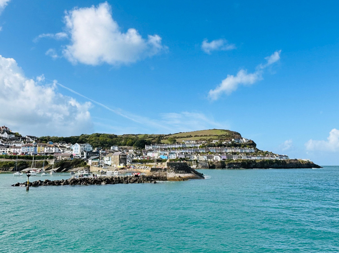 Dolphin Spotting Boat Trips (by New Quay Boat Trips)-纽基必去景点