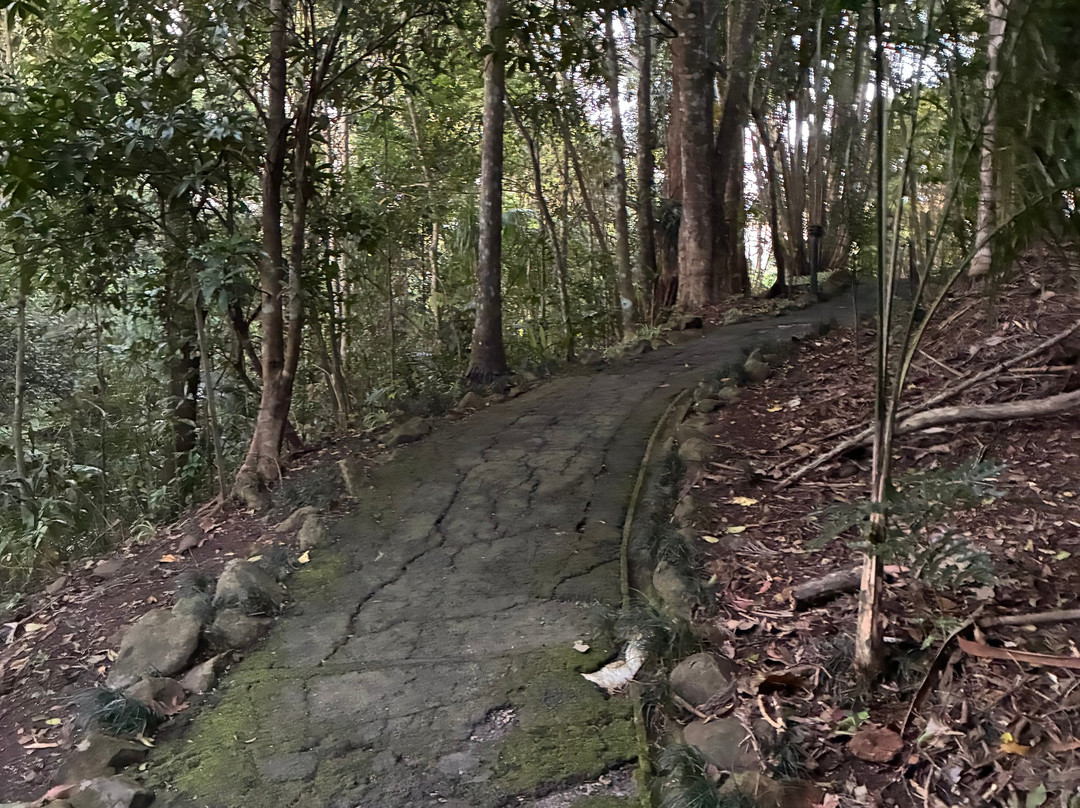 蒙特维尔瀑布山林小屋主图