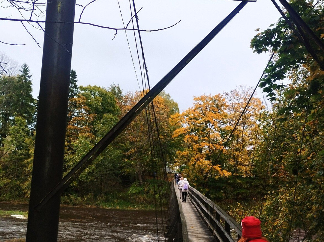 Joesuu Suspension Bridge-Parnu County必去景点