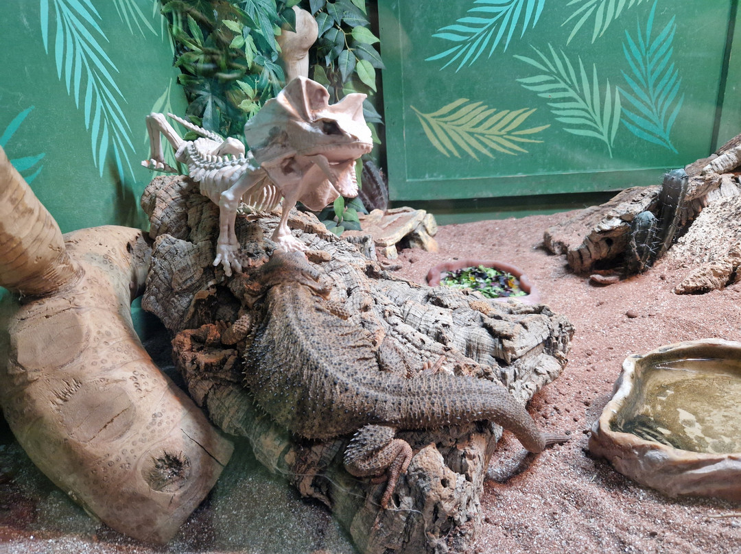 Crealy Theme Park-Clyst St Mary必去景点