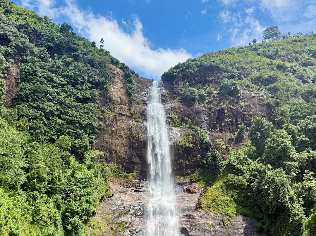Gartmore Falls-马斯凯利耶必去景点