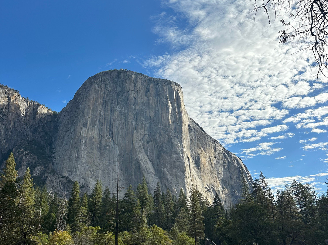 El Capitan-优胜美地国家公园必去景点