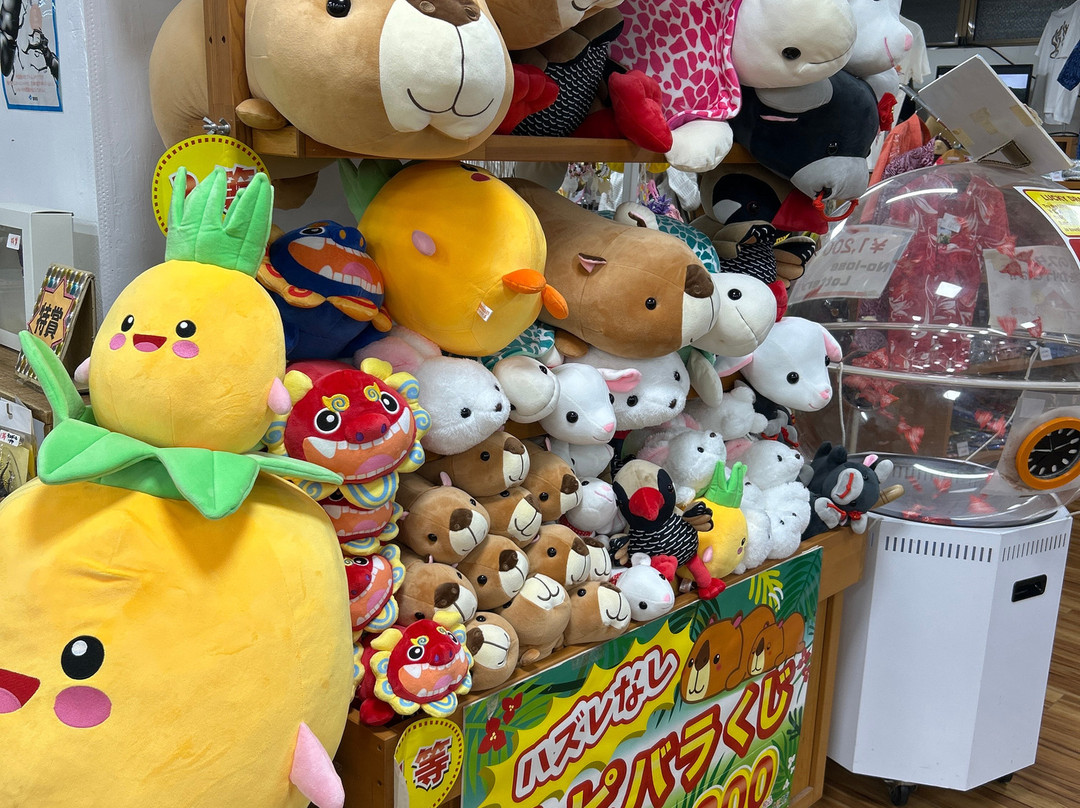 东南植物乐园-冲绳市必去景点