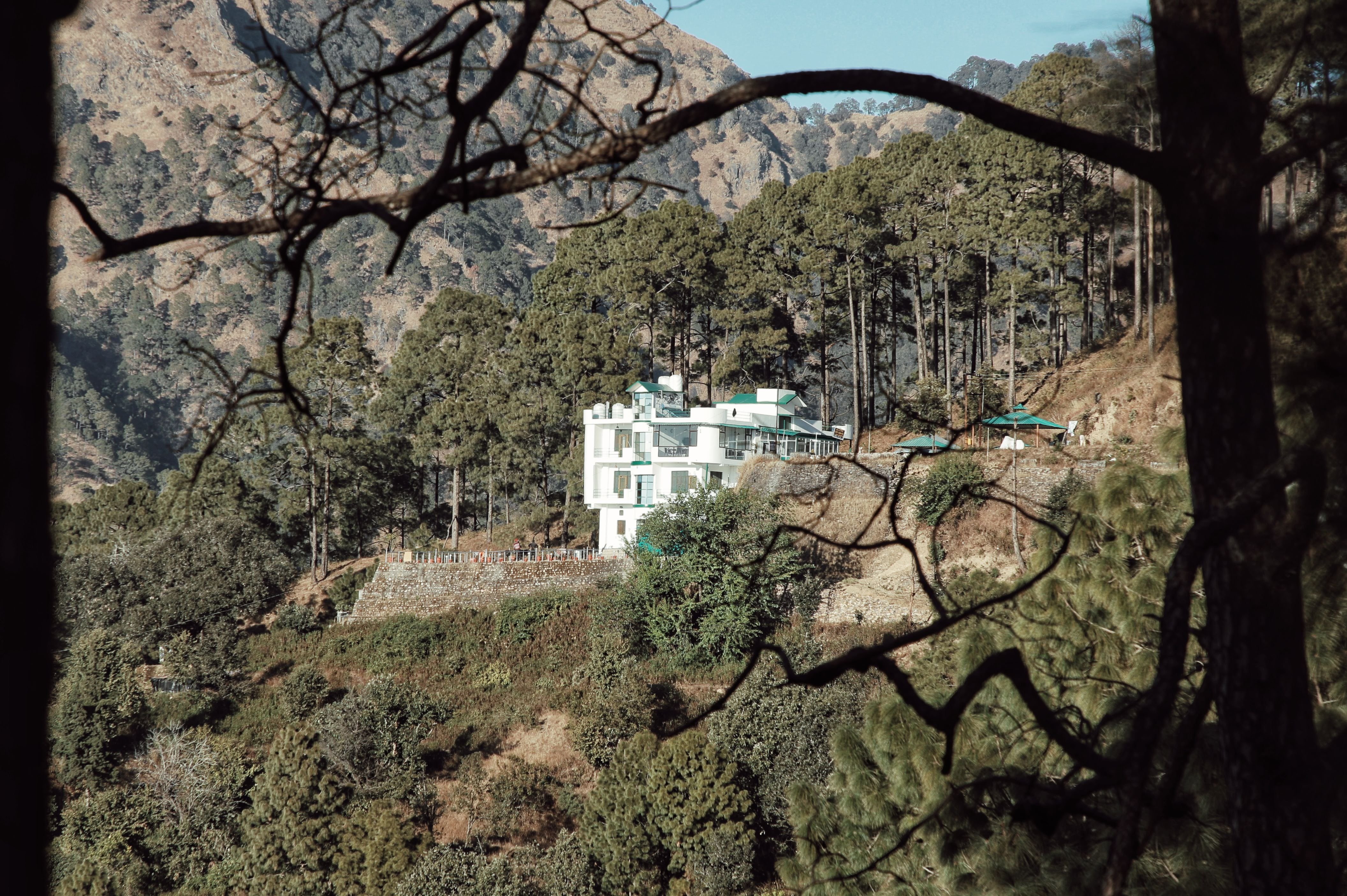 Hill Castle-官方