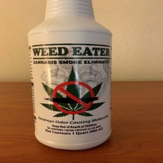 Holiday Inn Port St. Lucie By IHG