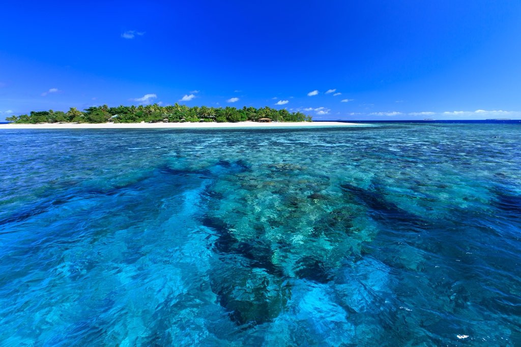 Wadigi Island旅游攻略图片
