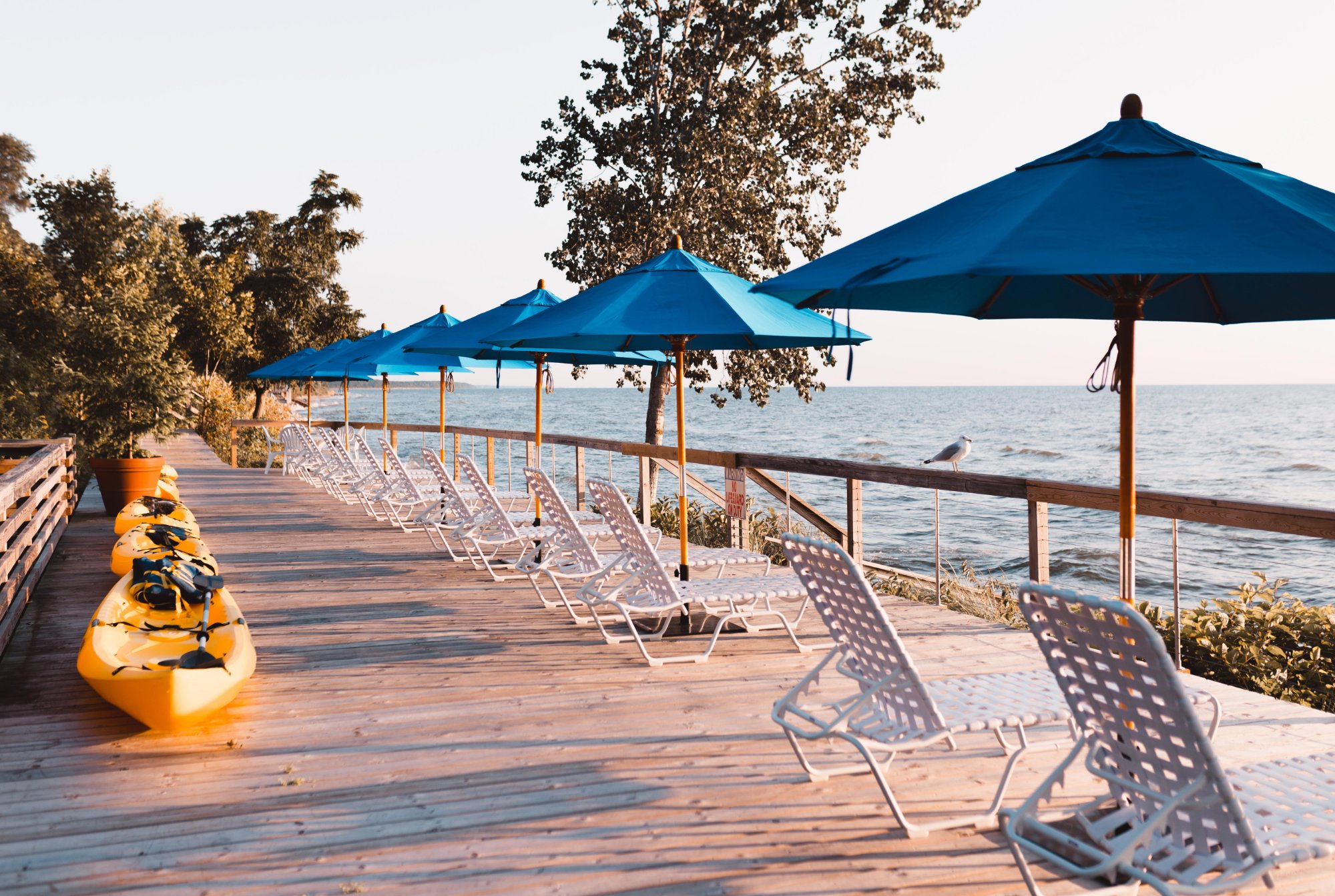Lake Shore Resort-官方