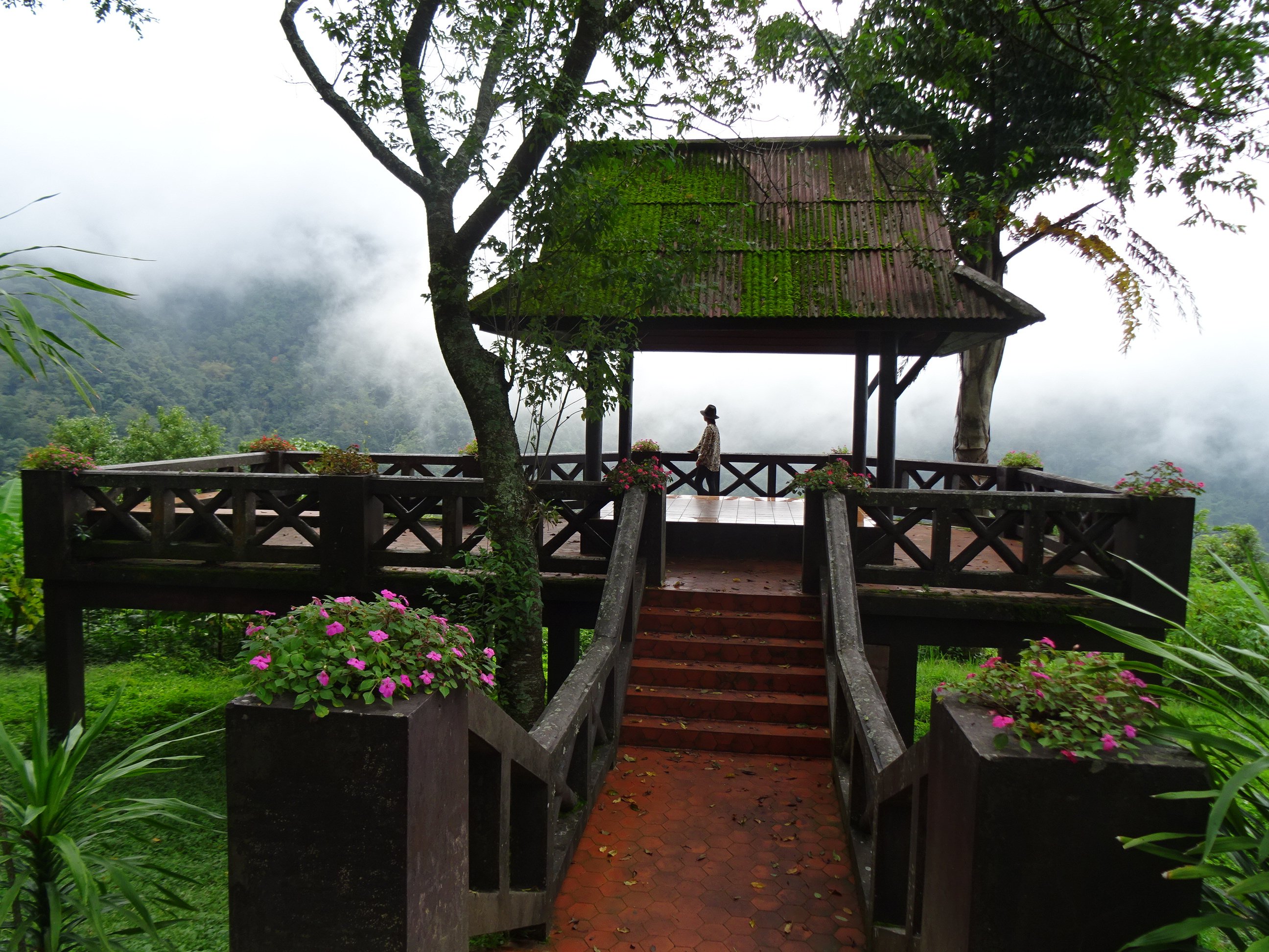 Pua Tranquil Vista Homestay-官方